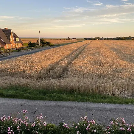 Feriehus Litzkow 15509 *