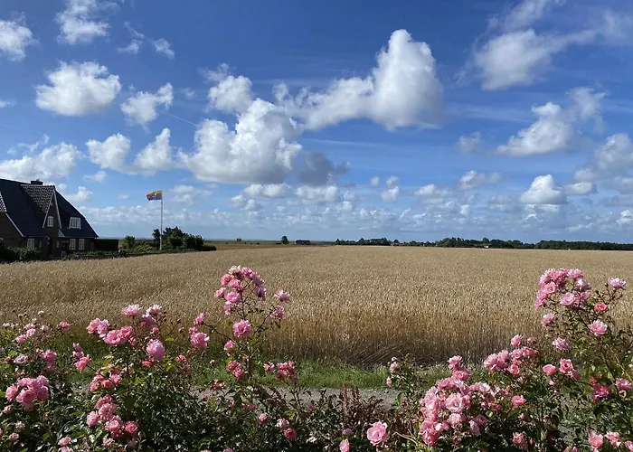 Vakantiehuis Litzkow 15509