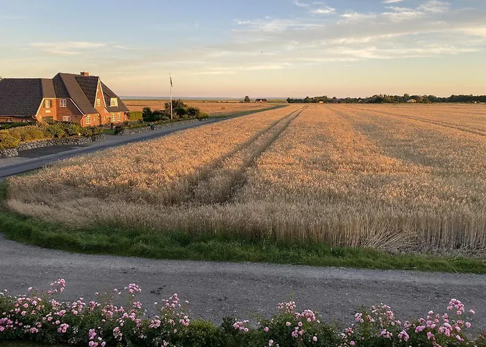 Vakantiehuis Litzkow 15509 *